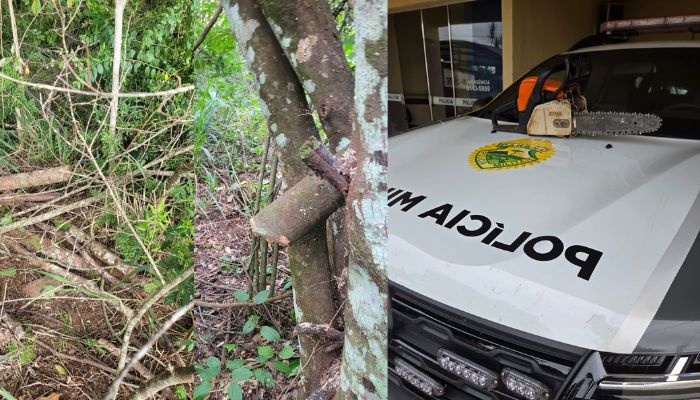 Três Barras – PMPR prende homem por corte de madeira nativa
